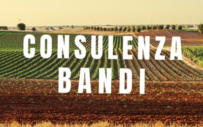 Bandi Agricoltura, Smart Network Group e dott. Antonio Brogno offrono consulenza